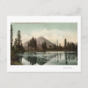 Carte Postale Vue des boutons noirs le long de la route Shasta