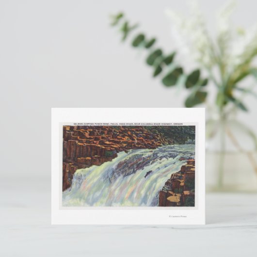 Carte Postale Vue des chutes du bol de pompage du Saumon (Debout devant)