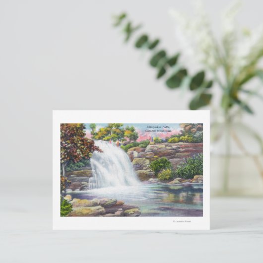 Carte Postale Vue des chutes Shinglekill (Debout devant)