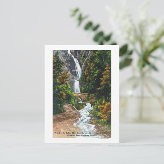 Carte Postale Vue des chutes Wah-Kee-Na (Debout devant)