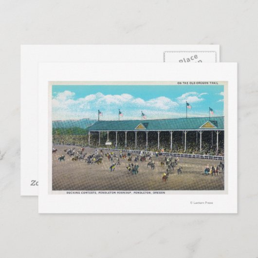 Carte Postale Vue des concours de Bucking (Devant / Derrière)