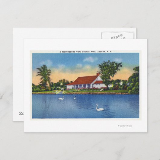 Carte Postale Vue des cygnes du parc Hoopes sur le lac (Devant / Derrière)