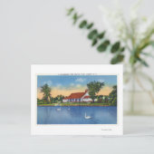 Carte Postale Vue des cygnes du parc Hoopes sur le lac (Debout devant)