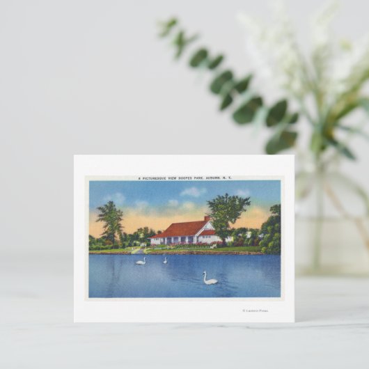 Carte Postale Vue des cygnes du parc Hoopes sur le lac (Debout devant)