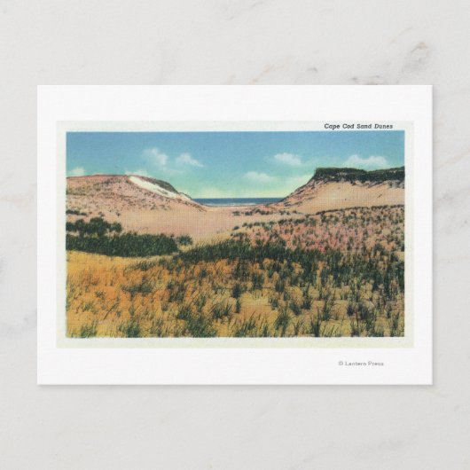 Carte Postale Vue des dunes de sable de Cape Cod 2 (Devant)
