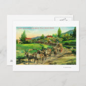 Carte Postale Vue des équipes de transport Hauling Bartlett Wate (Devant / Derrière)