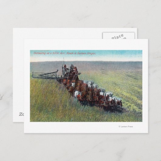 Carte Postale Vue des fermiers récoltant avec un énorme cheval (Devant / Derrière)