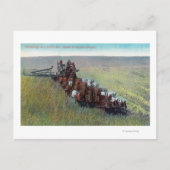 Carte Postale Vue des fermiers récoltant avec un énorme cheval (Devant)