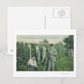 Carte Postale Vue des pêcheurs avec prises près de Fitch Mt. (Devant / Derrière)