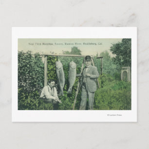 Carte Postale Vue des pêcheurs avec prises près de Fitch Mt.