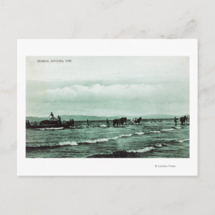 Carte Postale Vue des pêcheurs Pêche de la Seine, Chariots à che