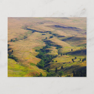 Carte Postale Vue des plaines entourant Bear Butte, SD