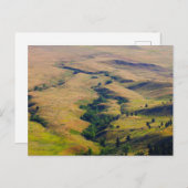 Carte Postale Vue des plaines entourant Bear Butte, SD (Devant / Derrière)