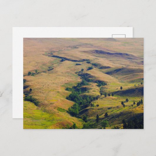Carte Postale Vue des plaines entourant Bear Butte, SD (Devant / Derrière)