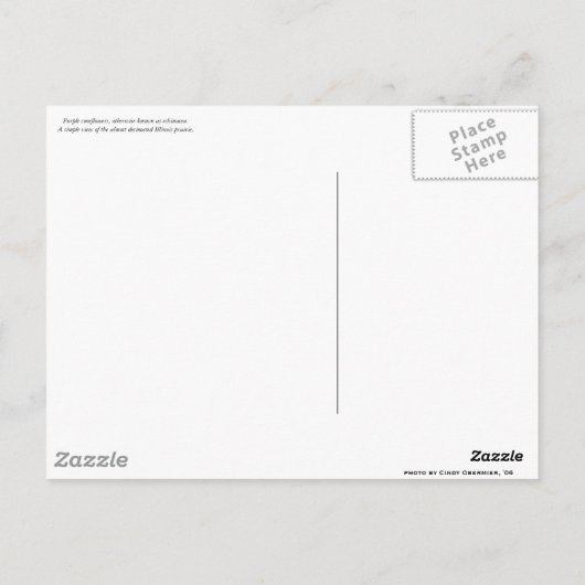 Carte Postale Vue des Prairies (Dos)