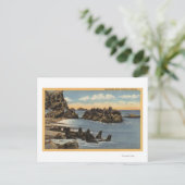 Carte Postale Vue des rochers de phoque avec phoques (Debout devant)