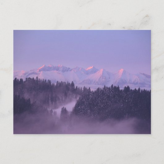 Carte Postale Vue des Tatras d'hiver (Devant)