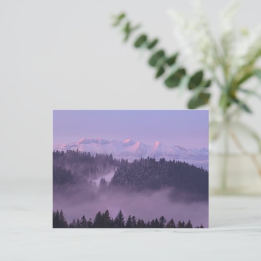 Carte Postale Vue des Tatras d'hiver depuis Pieniny (Debout devant)