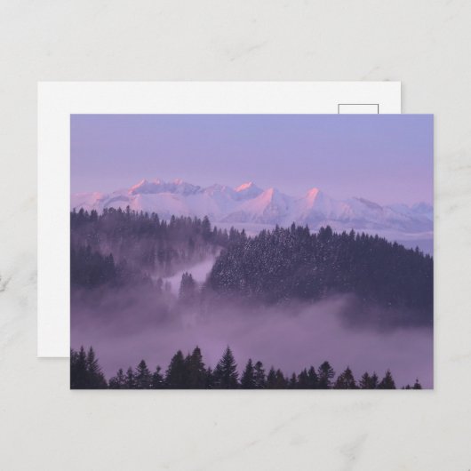 Carte Postale Vue des Tatras d'hiver depuis Pieniny (Devant / Derrière)