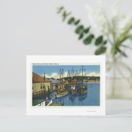 Carte Postale Vue des voiliers accostés dans le port (Debout devant)