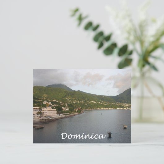 Carte Postale Vue Dominique (Debout devant)