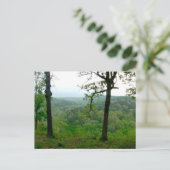 Carte Postale Vue d'Ozark (Debout devant)