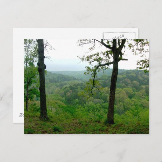 Carte Postale Vue d'Ozark (Devant / Derrière)