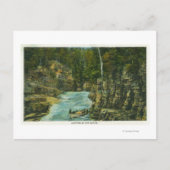 Carte Postale Vue du bateau à la recherche des rapides (Devant)