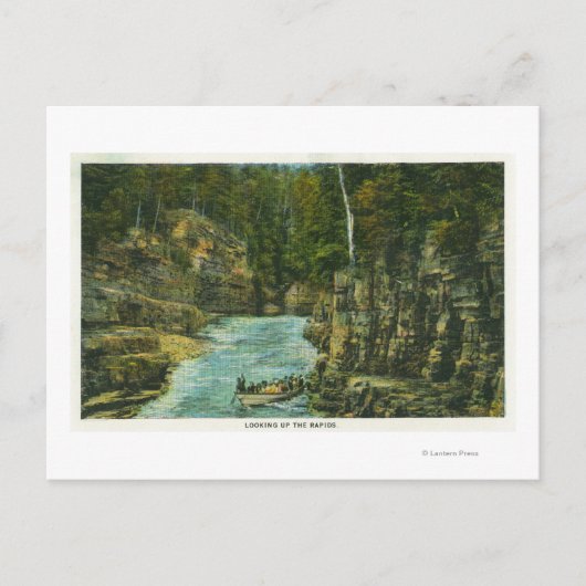 Carte Postale Vue du bateau à la recherche des rapides (Devant)