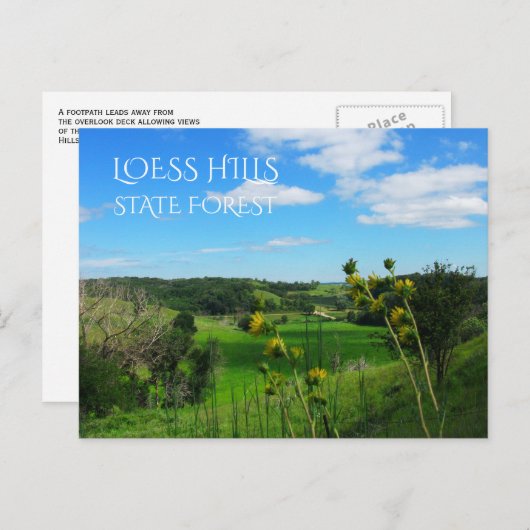Carte Postale Vue du chemin surplombant, forêt d'État de Loess H (Devant / Derrière)