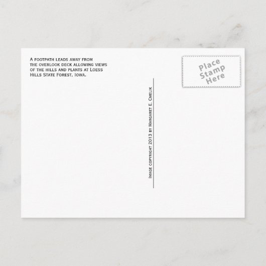 Carte Postale Vue du chemin surplombant, forêt d'État de Loess H (Dos)