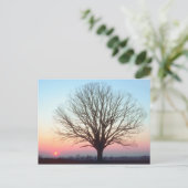 Carte Postale Vue du coucher du soleil (Debout devant)