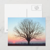 Carte Postale Vue du coucher du soleil (Devant / Derrière)