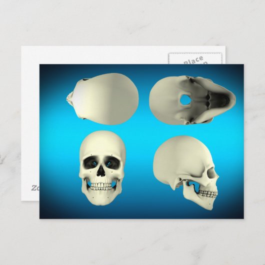 Carte Postale Vue Du Crâne Humain D'Angles Différents (Devant / Derrière)