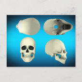 Carte Postale Vue Du Crâne Humain D'Angles Différents (Devant)