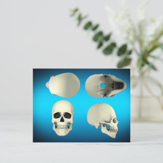 Carte Postale Vue Du Crâne Humain D'Angles Différents (Debout devant)