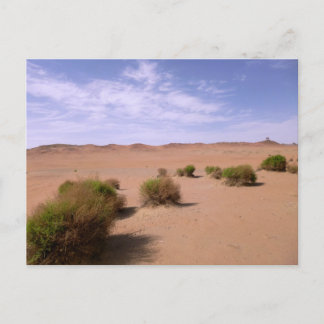 Carte Postale Vue du désert de Gobi