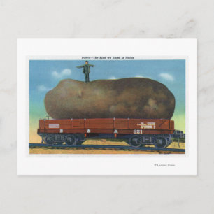 Carte Postale Vue du genre de pommes de terre élevées dans le Ma