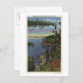 Carte Postale Vue du lac à travers les pins à sucre (Devant / Derrière)