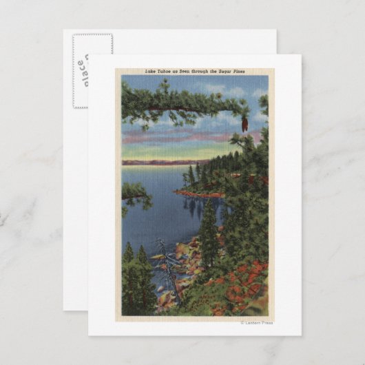 Carte Postale Vue du lac à travers les pins à sucre (Devant / Derrière)