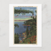 Carte Postale Vue du lac à travers les pins à sucre (Devant)