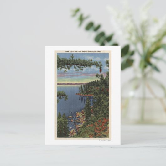 Carte Postale Vue du lac à travers les pins à sucre (Debout devant)