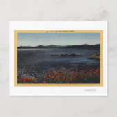 Carte Postale Vue du lac depuis les rives du Nord (Devant)