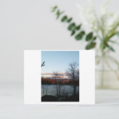 Carte Postale Vue du lac Placid (Debout devant)