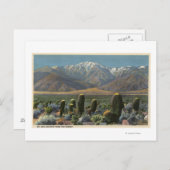 Carte Postale Vue du Mont San Jacinto près de Palm Springs (Devant / Derrière)