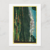 Carte Postale Vue du mont Shasta de Shasta CityShasta, CA (Devant)