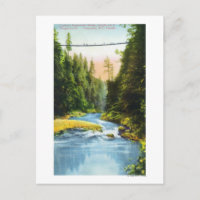Vue du pont suspendu de Capilano # 2
