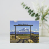 CARTE POSTALE VUE DU RANCH DE SHASTA (Debout devant)