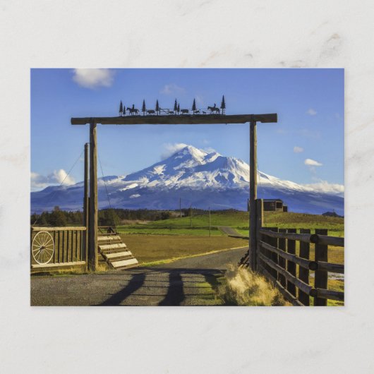 CARTE POSTALE VUE DU RANCH DE SHASTA (Devant)