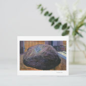 Carte Postale Vue du Real Plymouth Rock (Debout devant)